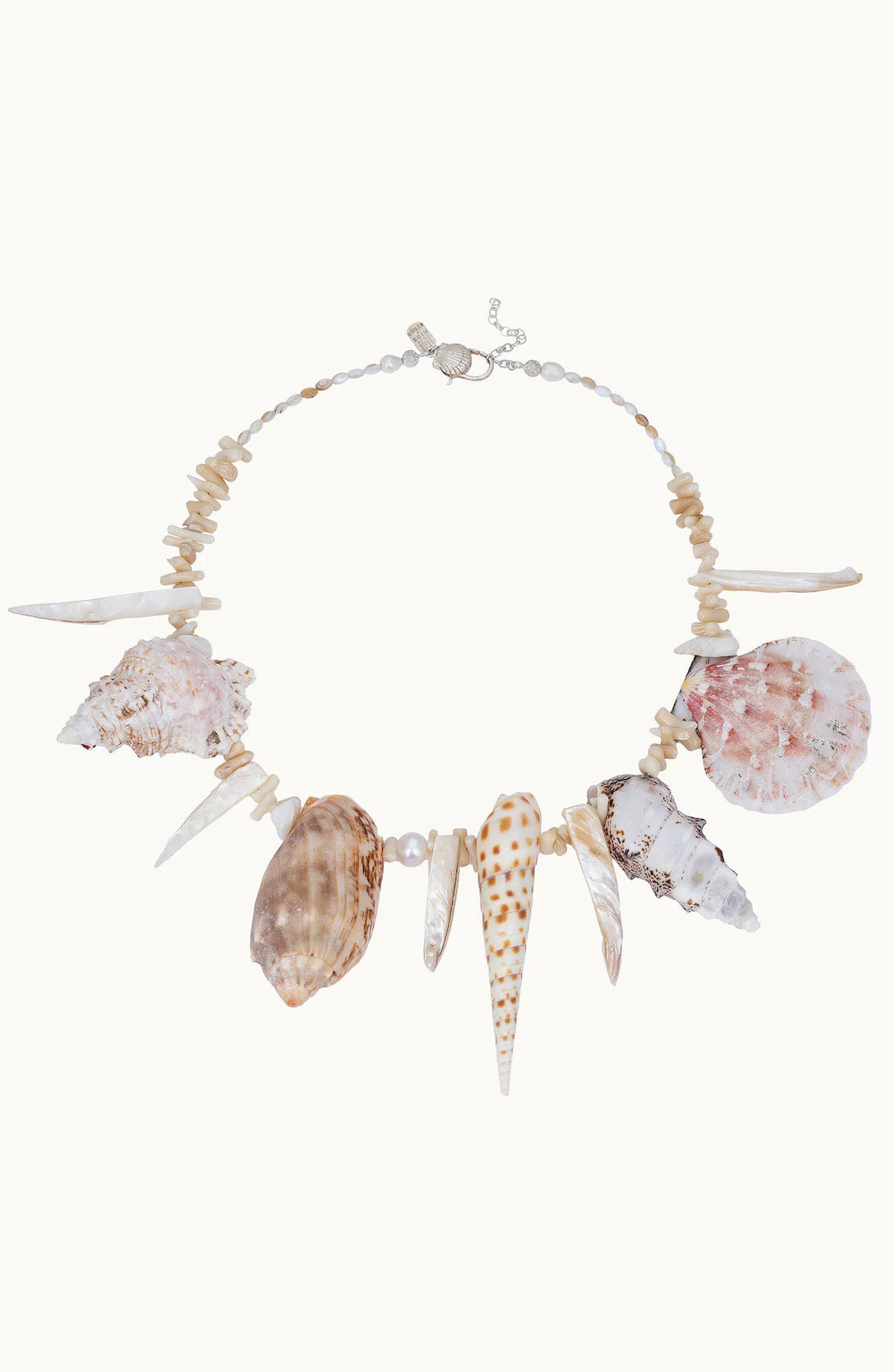 Necklace with seashells and coral on a white background