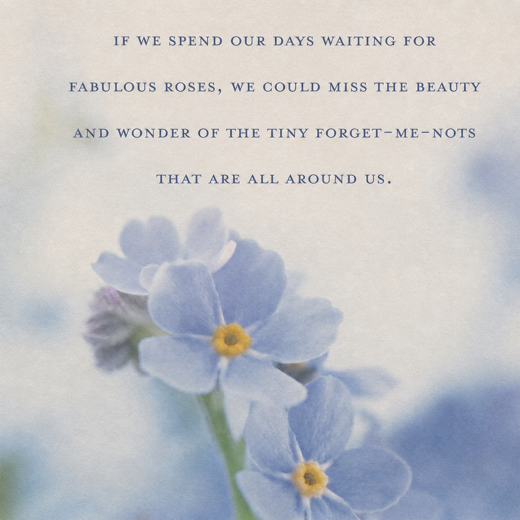 Spring 2026 Forget Me Not Flower