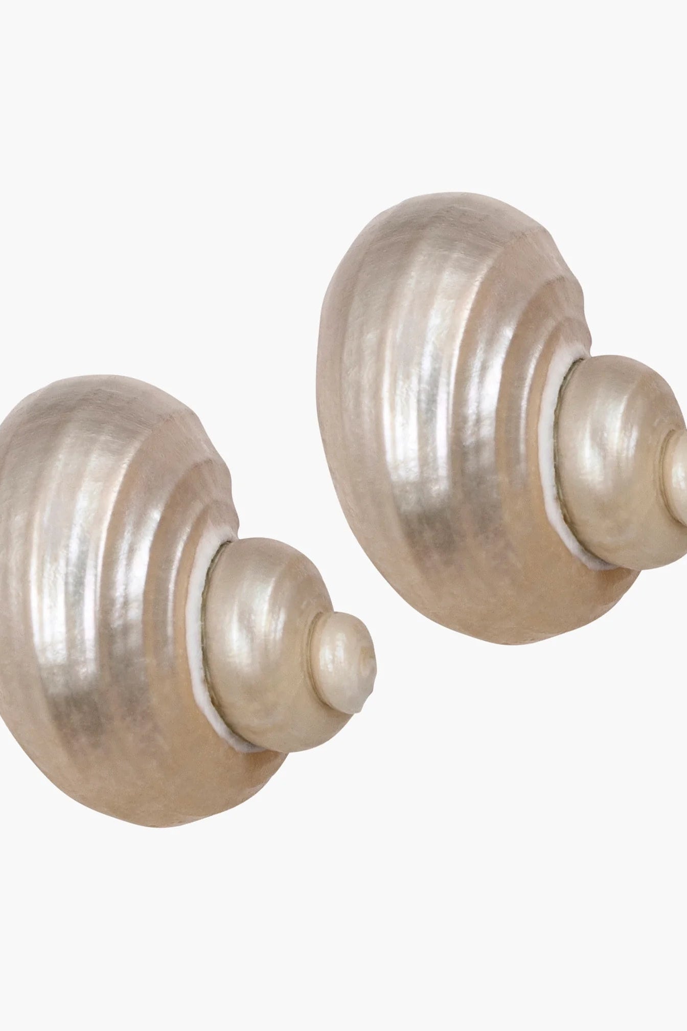 Close-up of the Jennifer Behr Luca Earrings handcrafted from natural ivory turbo mollusc shells with a luminous pearlescent finish.