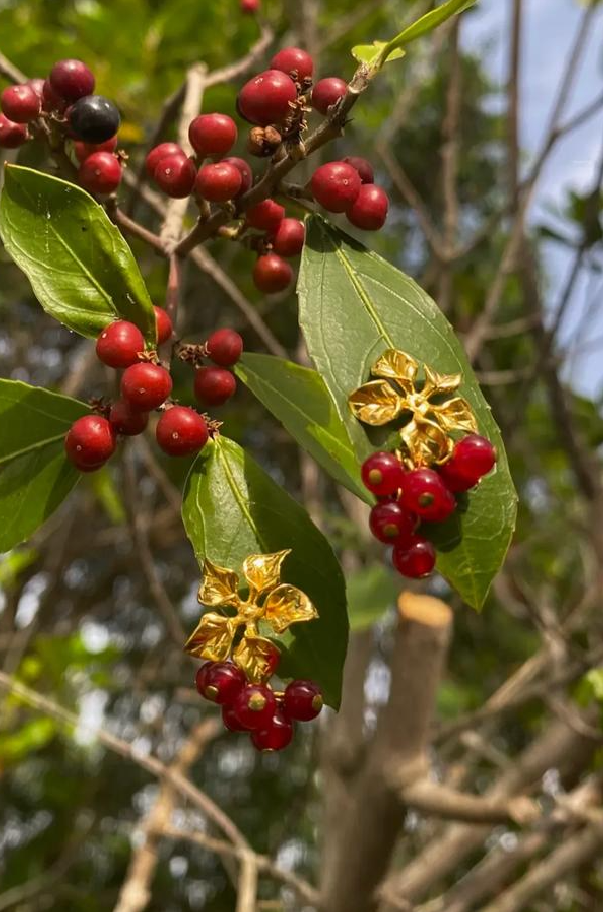 Magnolia Earrings in Red