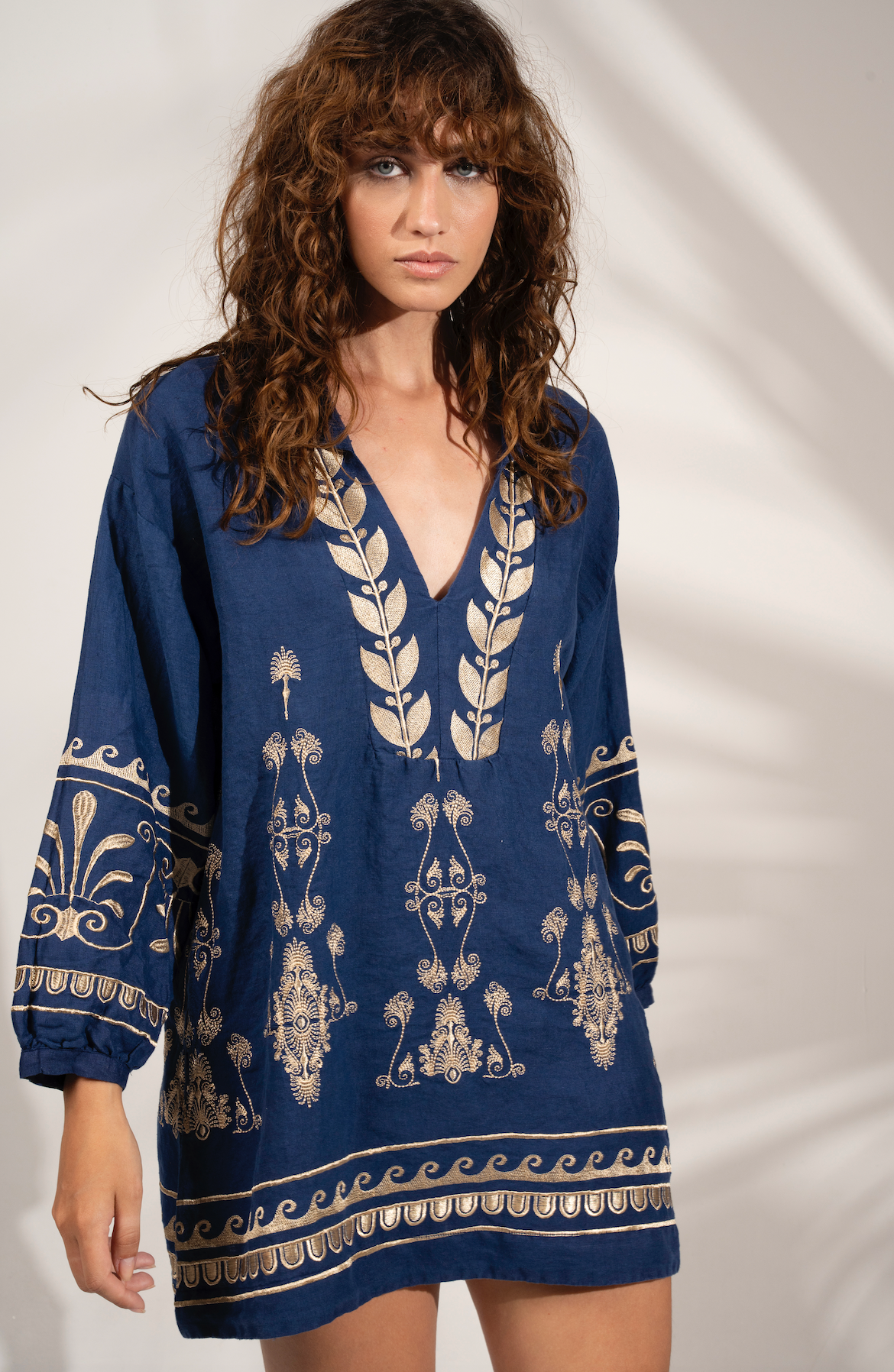 Evadne Embroidered Dress Navy