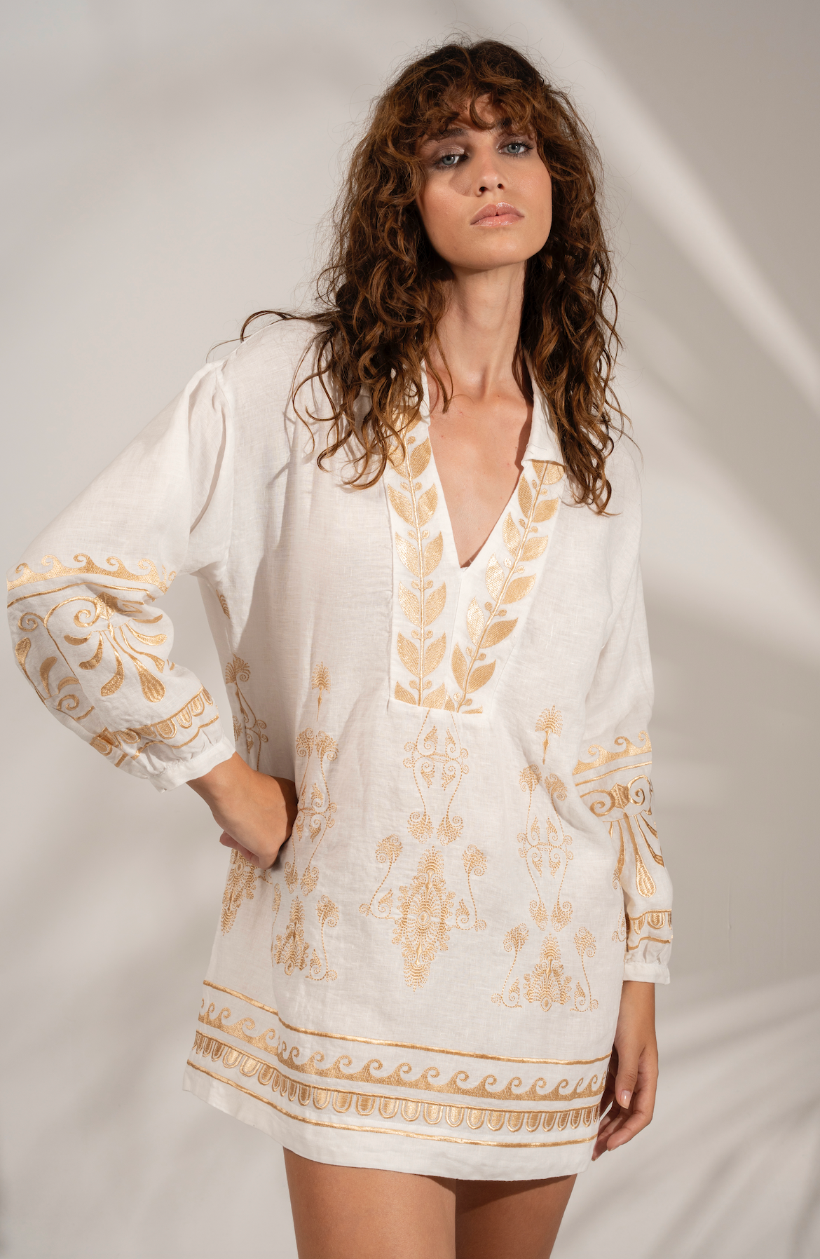 Evadne Embroidered Dress White